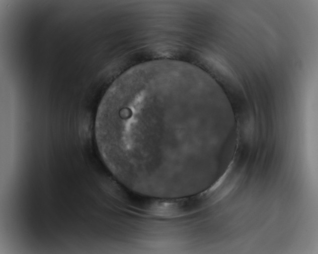 X0000094370174200711162118