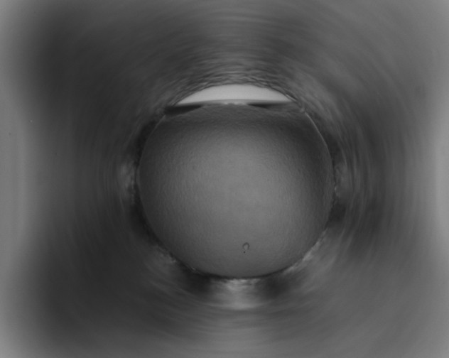 X0000094370184200711162118