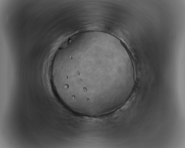 X0000094370193200711162117