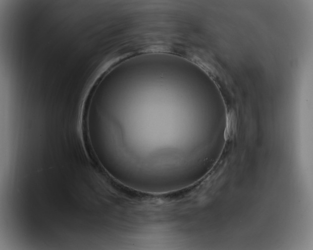 X0000094370195200711162117