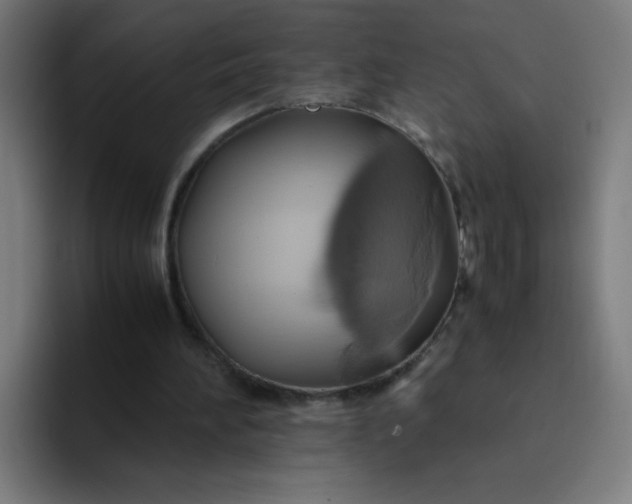 X0000094370196200711162117