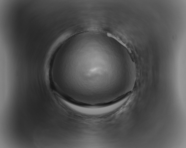 X0000094370197200711162117