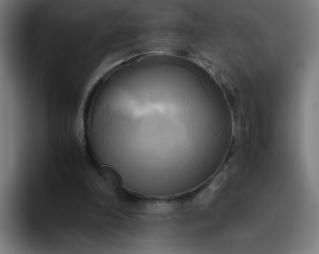 X0000094370198200711162117