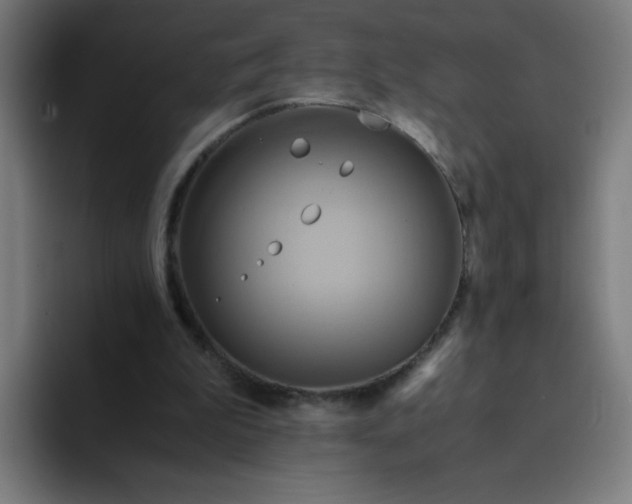 X0000094370199200711162117