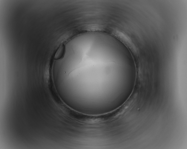 X0000094370202200711162117