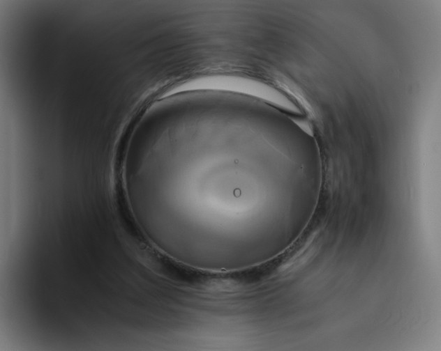 X0000094370203200711162117