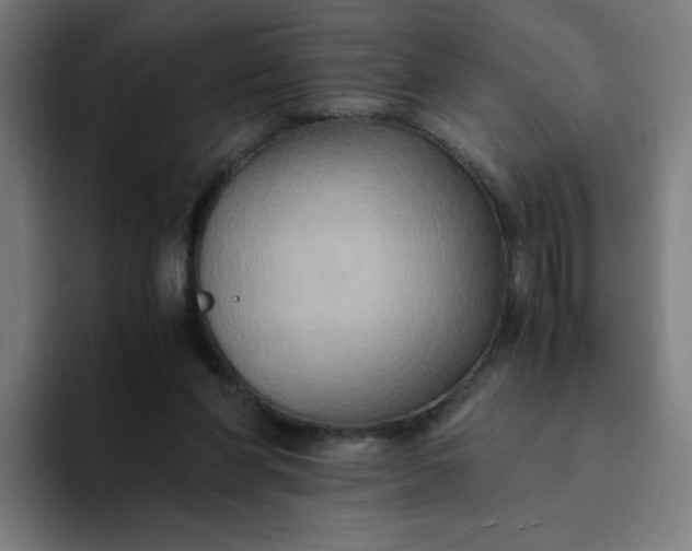 X0000094370206200711162117