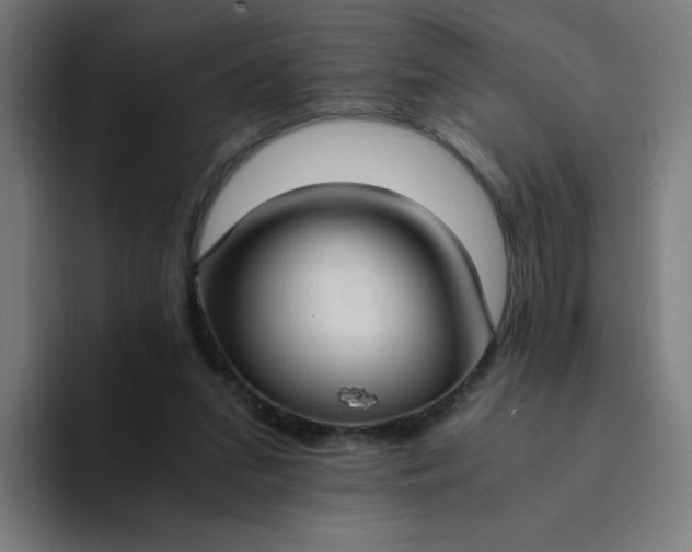 X0000094370207200711162117