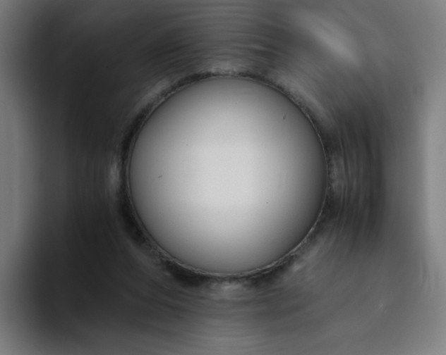 X0000094370208200711162117