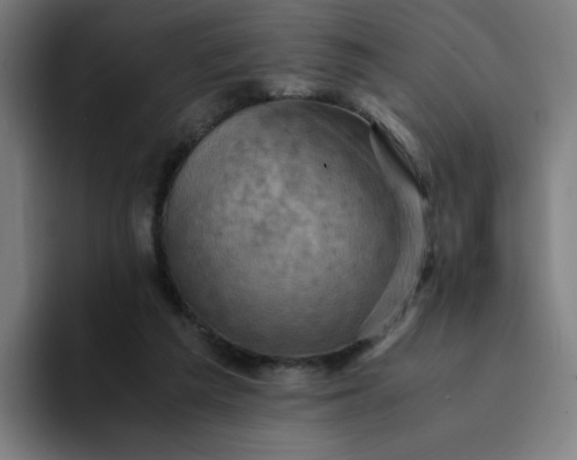 X0000094370209200711162117