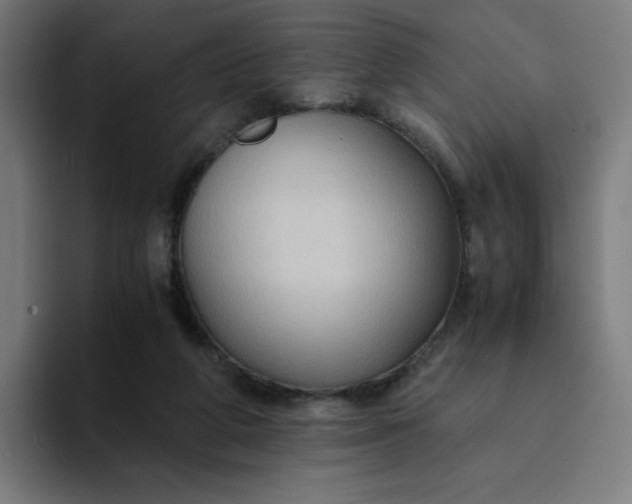 X0000094370210200711162117