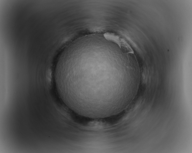 X0000094370211200711162117