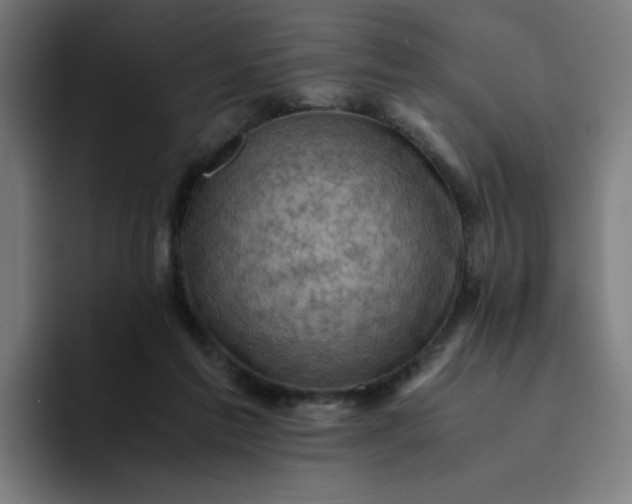 X0000094370213200711162117