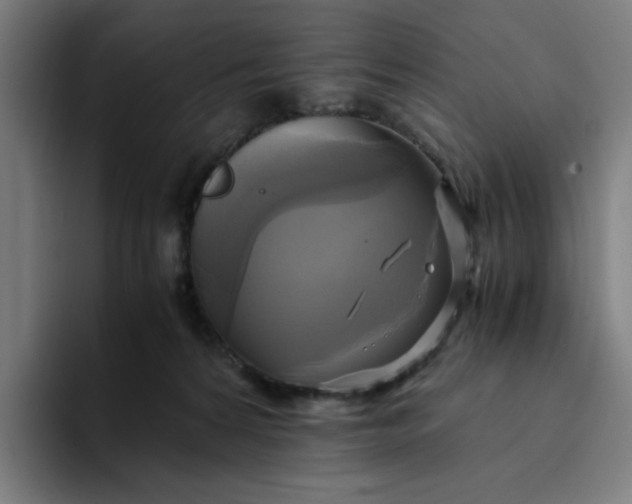 X0000094370224200711162117