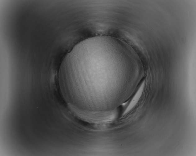 X0000094370225200711162117