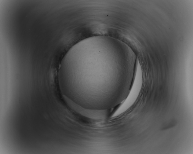 X0000094370229200711162117