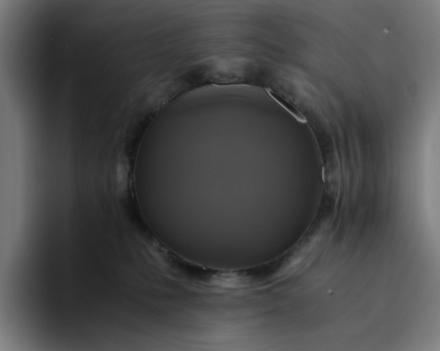 X0000094370231200711162117