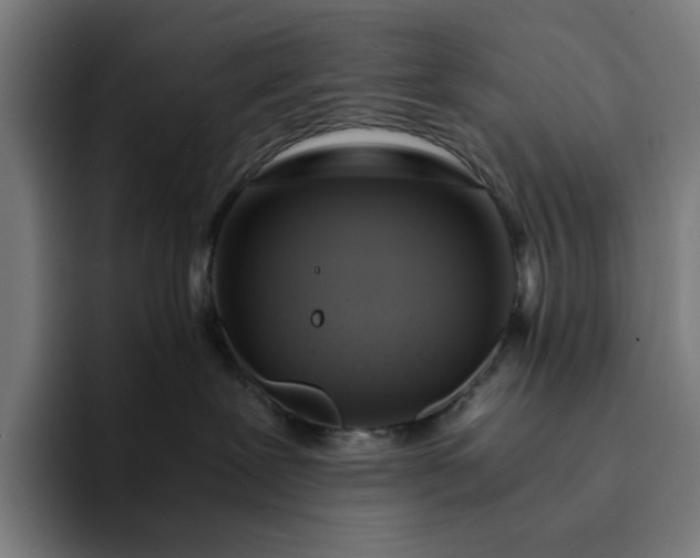 X0000094370239200711162117