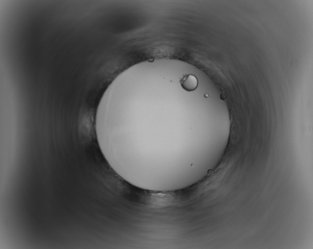 X0000094370240200711162117