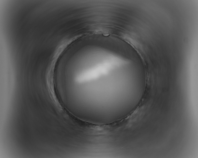 X0000094370241200711162116