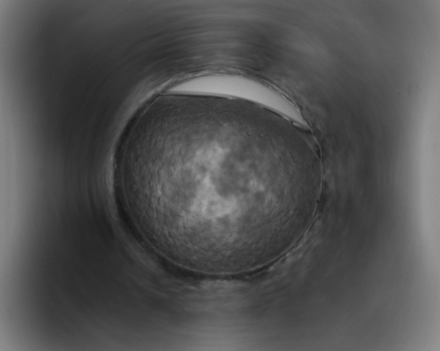 X0000094370242200711162116