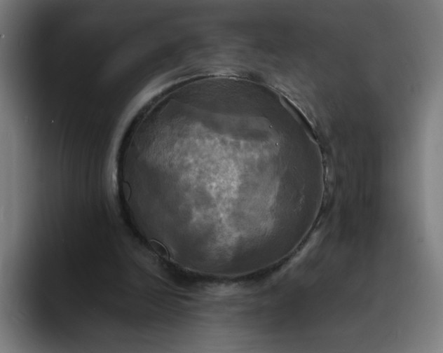 X0000094370246200711162116