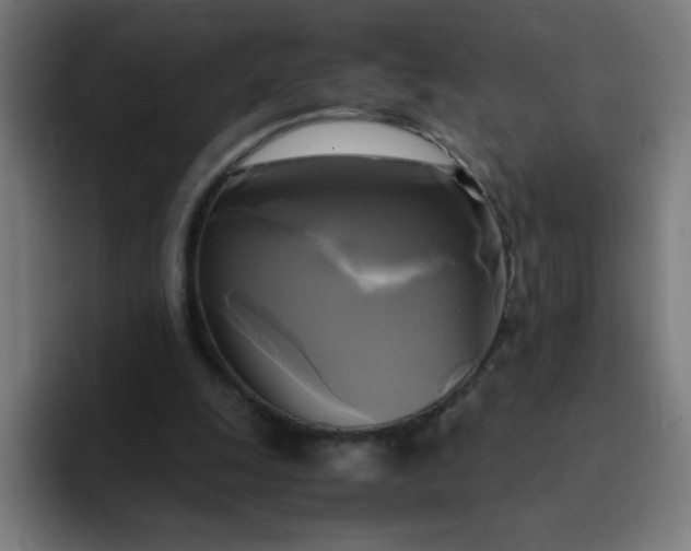 X0000094370247200711162116