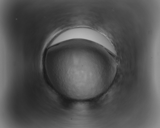 X0000094370248200711162116