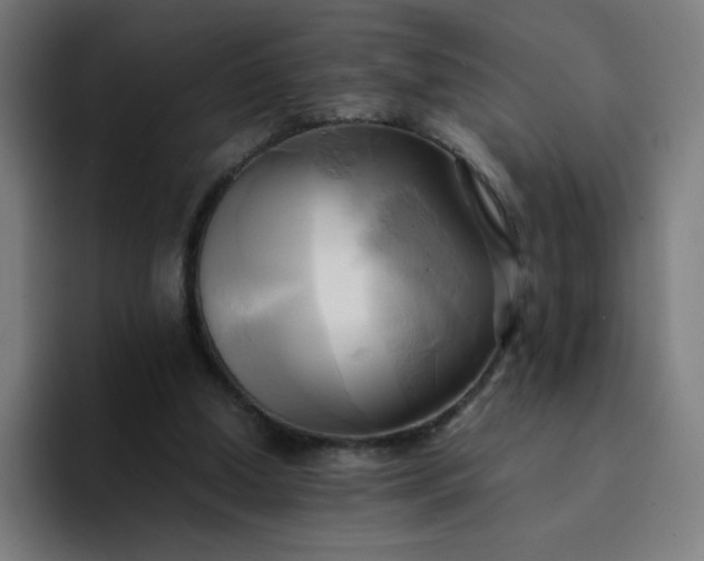 X0000094370250200711162116