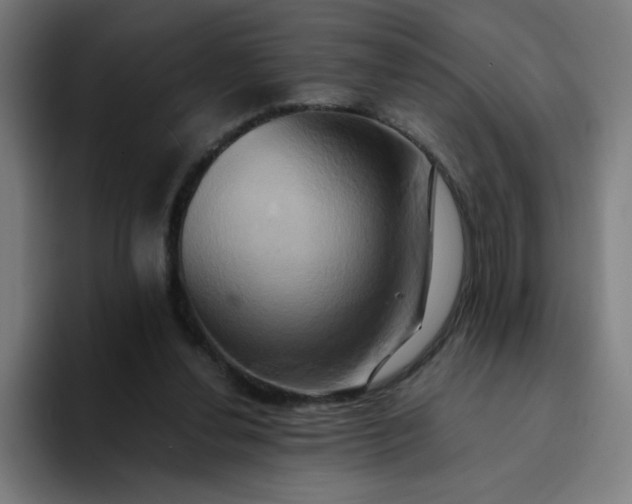 X0000094370252200711162116