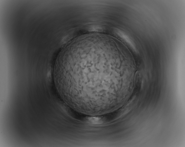 X0000094370265200711162116