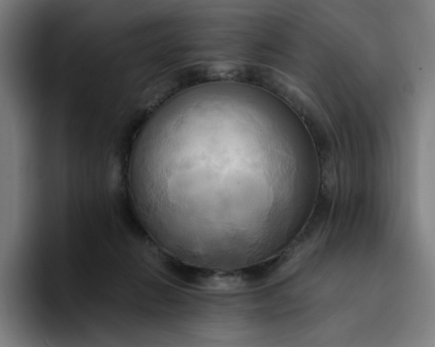 X0000094370270200711162116