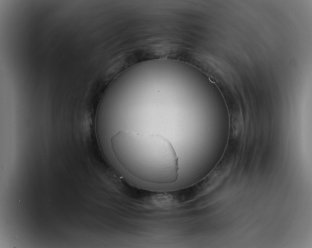 X0000094370279200711162117