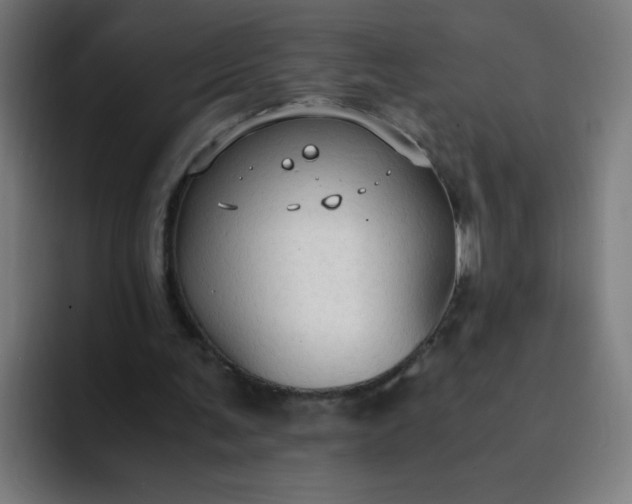 X0000094370291200711162116