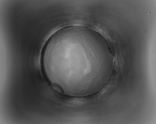 X0000094370292200711162116