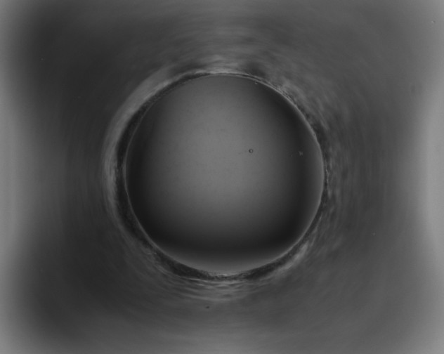 X0000094370295200711162116