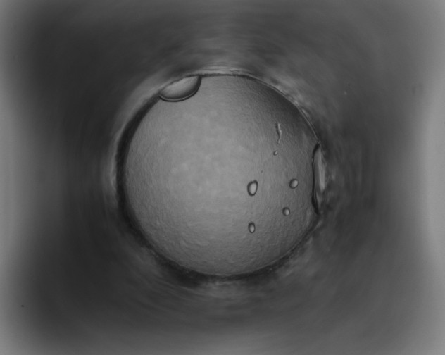 X0000094370296200711162116