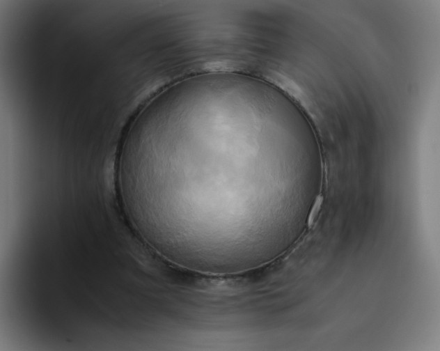 X0000094370297200711162116