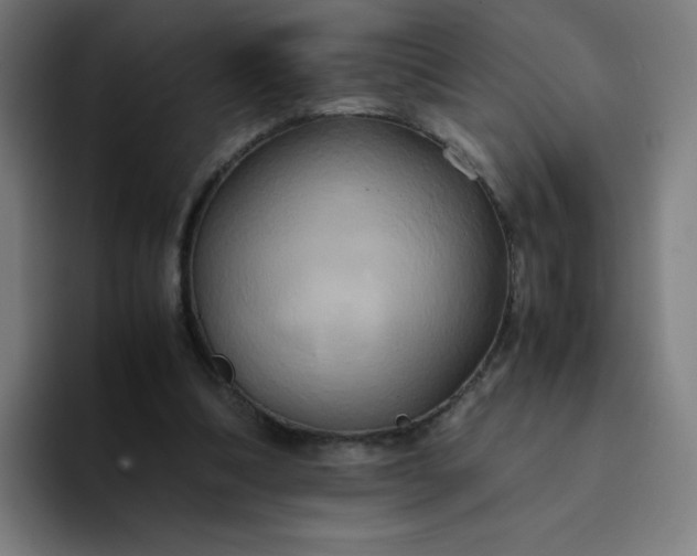 X0000094370298200711162116