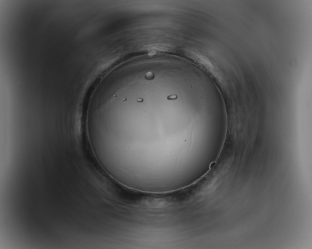 X0000094370299200711162116