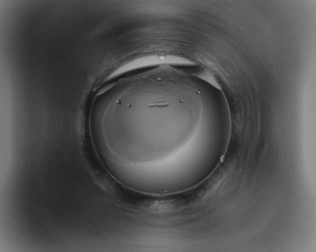 X0000094370303200711162116