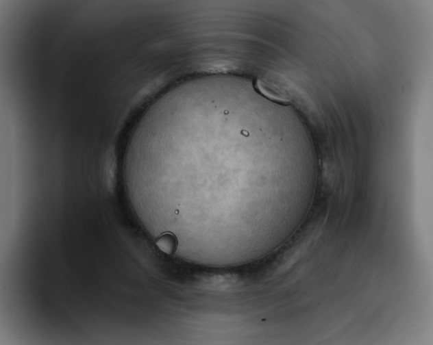 X0000094370304200711162116