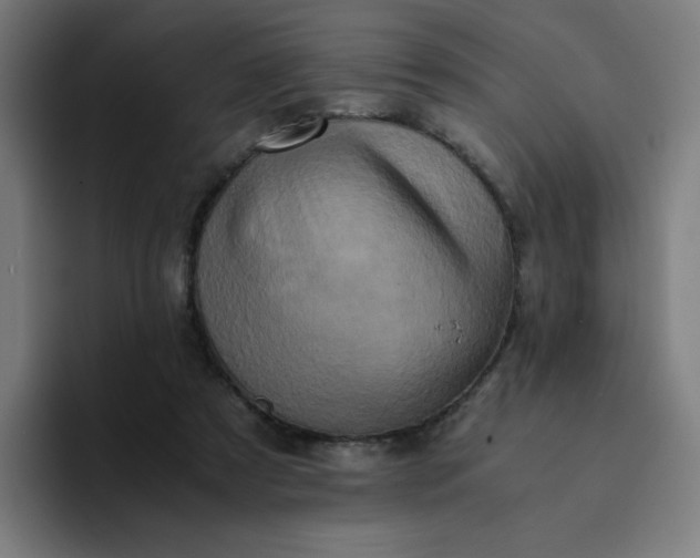 X0000094370305200711162116