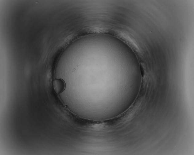 X0000094370306200711162116