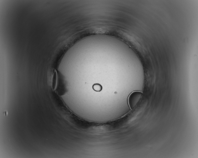 X0000094370307200711162116