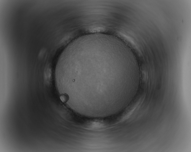 X0000094370308200711162116