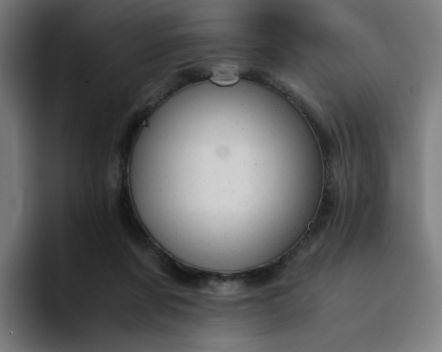 X0000094370311200711162116