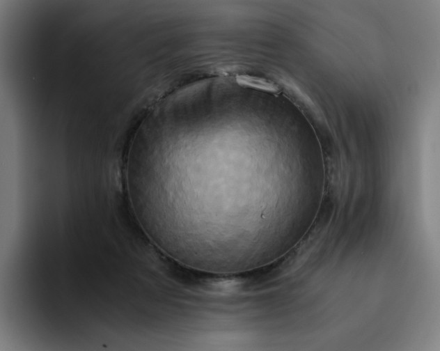 X0000094370313200711162116