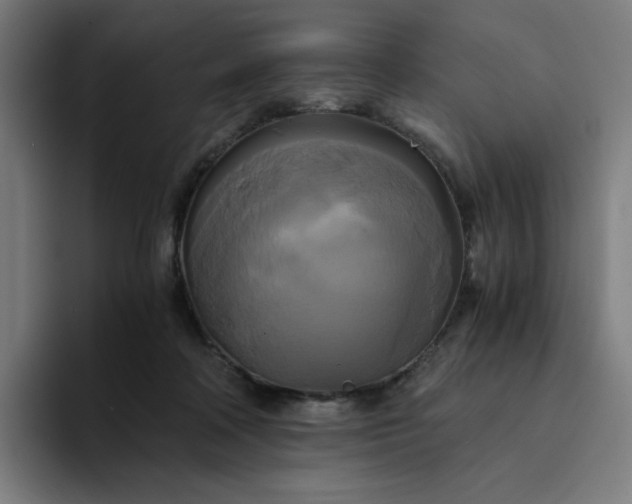 X0000094370314200711162116