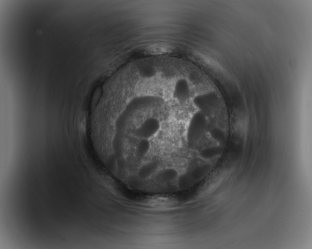 X0000094370315200711162116